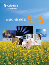 Sustainability report 2012