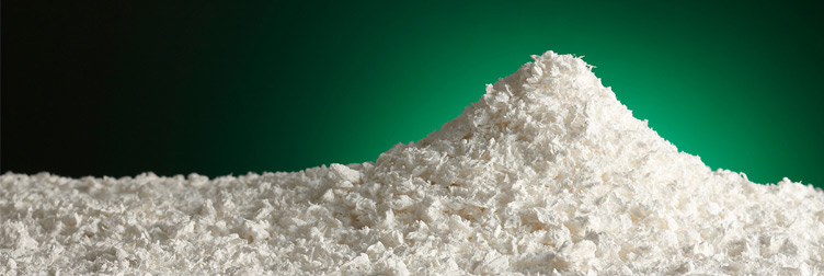 Flake in mound_1280x480